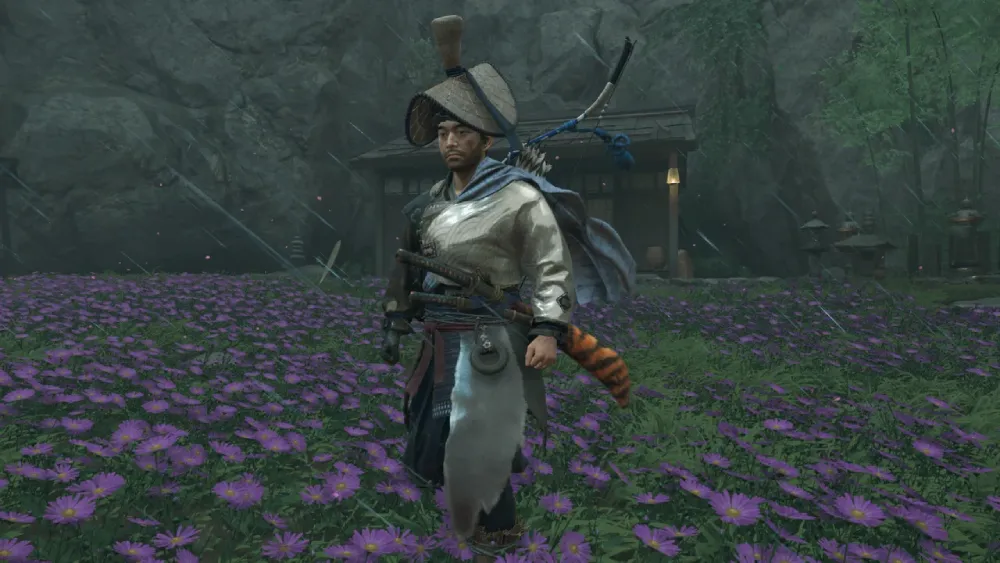 Multiplayer (Legends Mode) and Armor Function