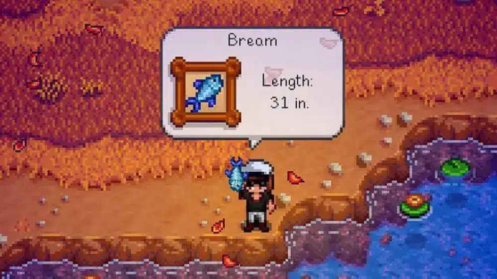Bream Stardew Valley: Complete Fishing Guide for Every Season