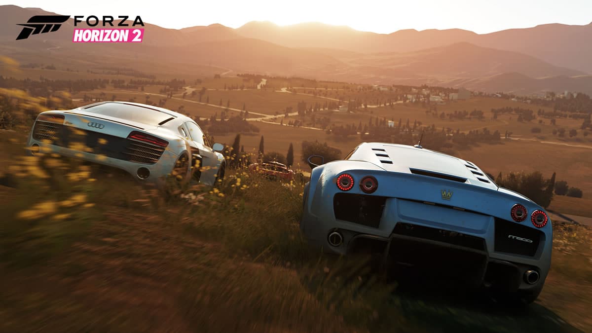 How to fix Jitter in Forza Horizon 2