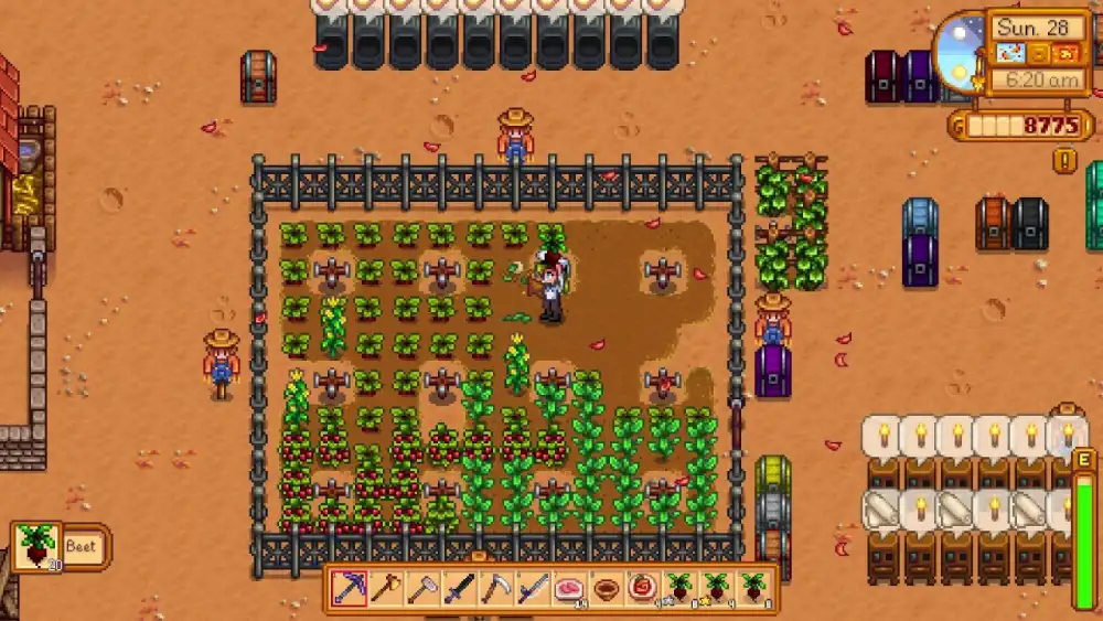 Stardew Valley Beets: Complete Farming and Crop Guide