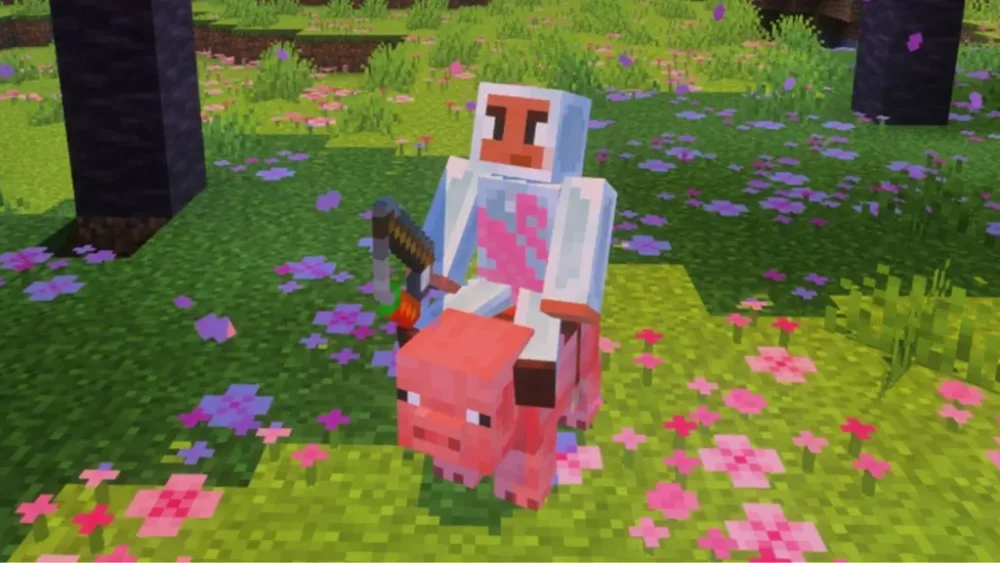 Custom skins and where to download minecraft characters