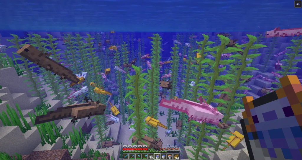 axolotl Minecraft