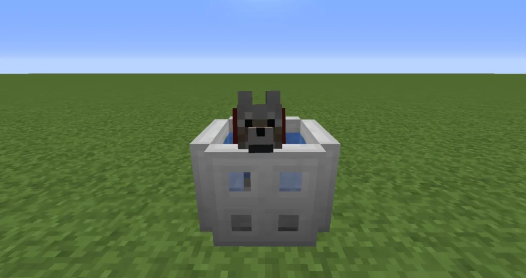 axolotl Minecraft