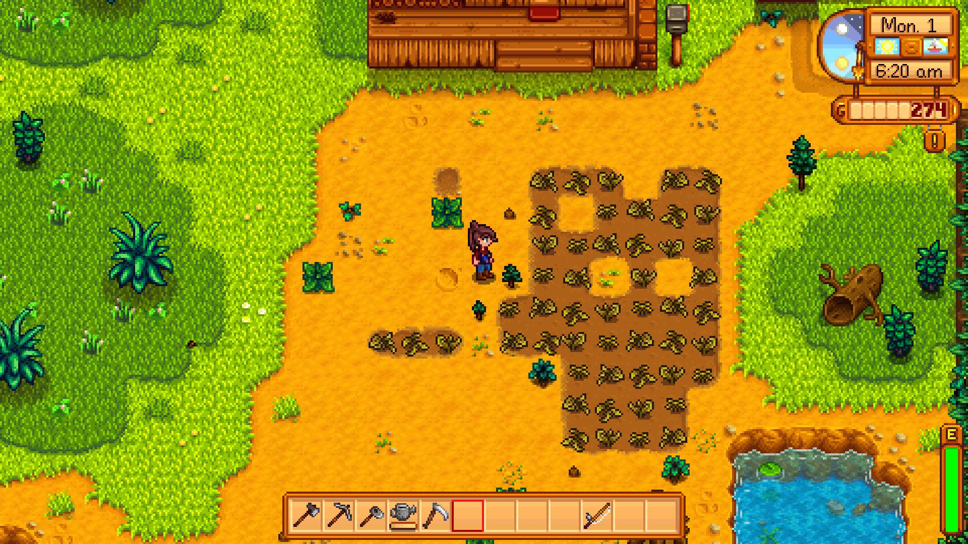 Best Summer Crop Stardew Valley