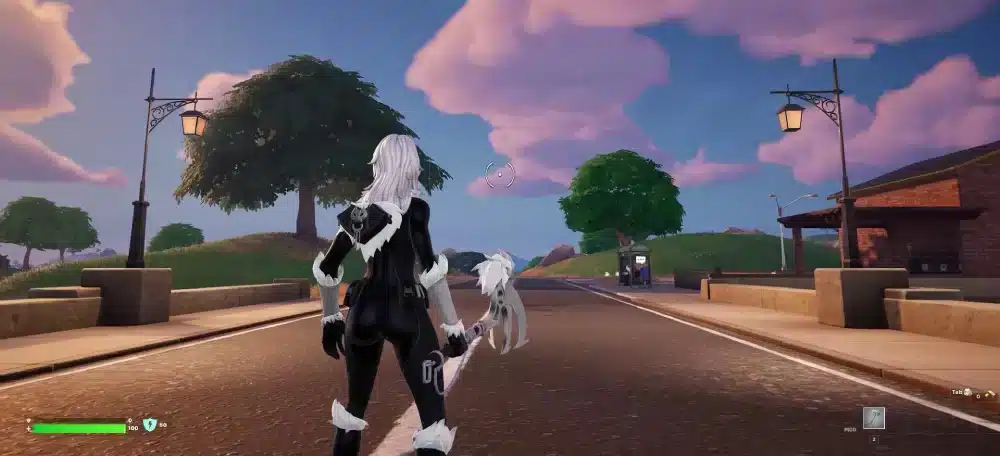 Black Cat Fortnite