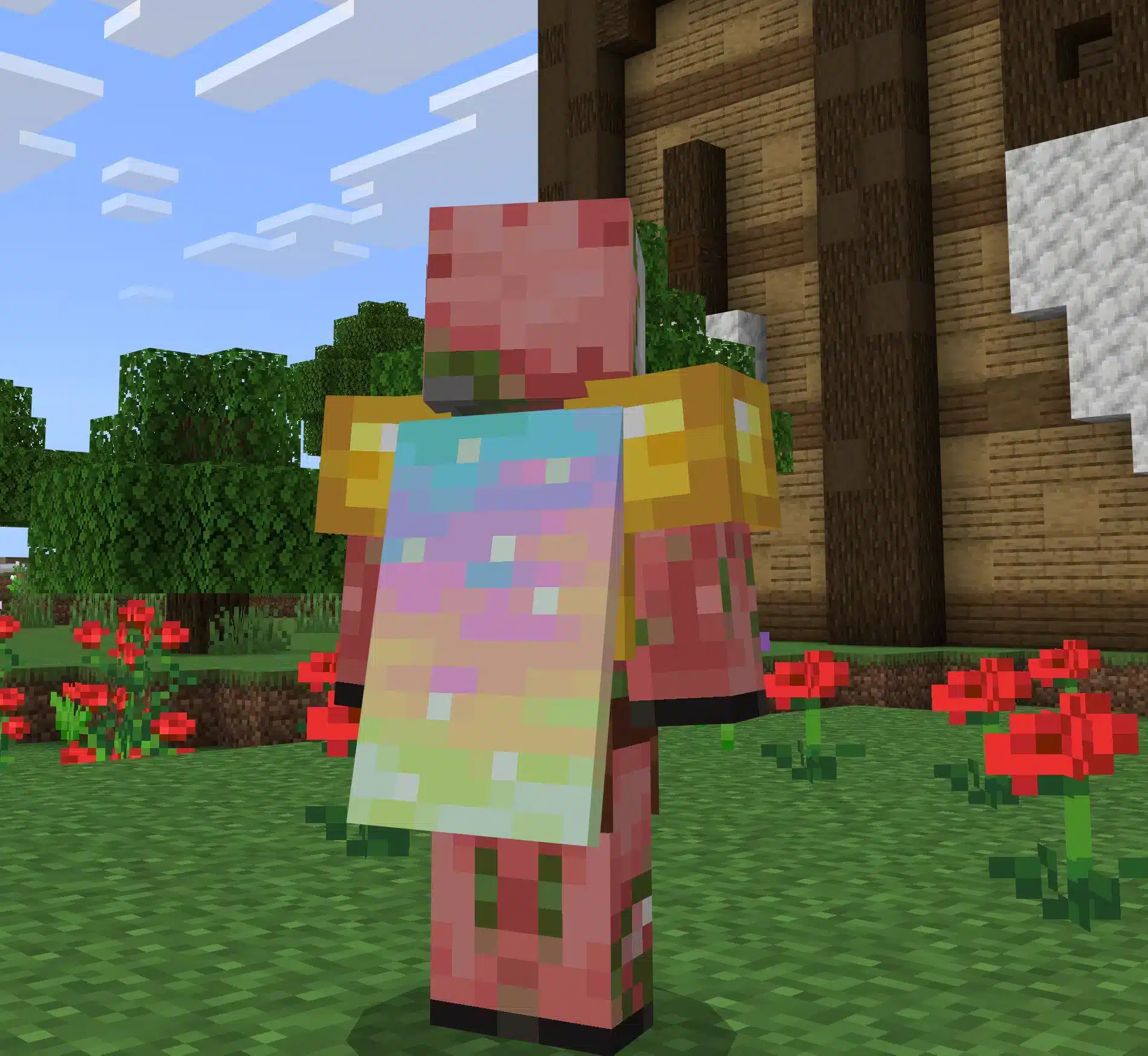 Aurora Cape Minecraft