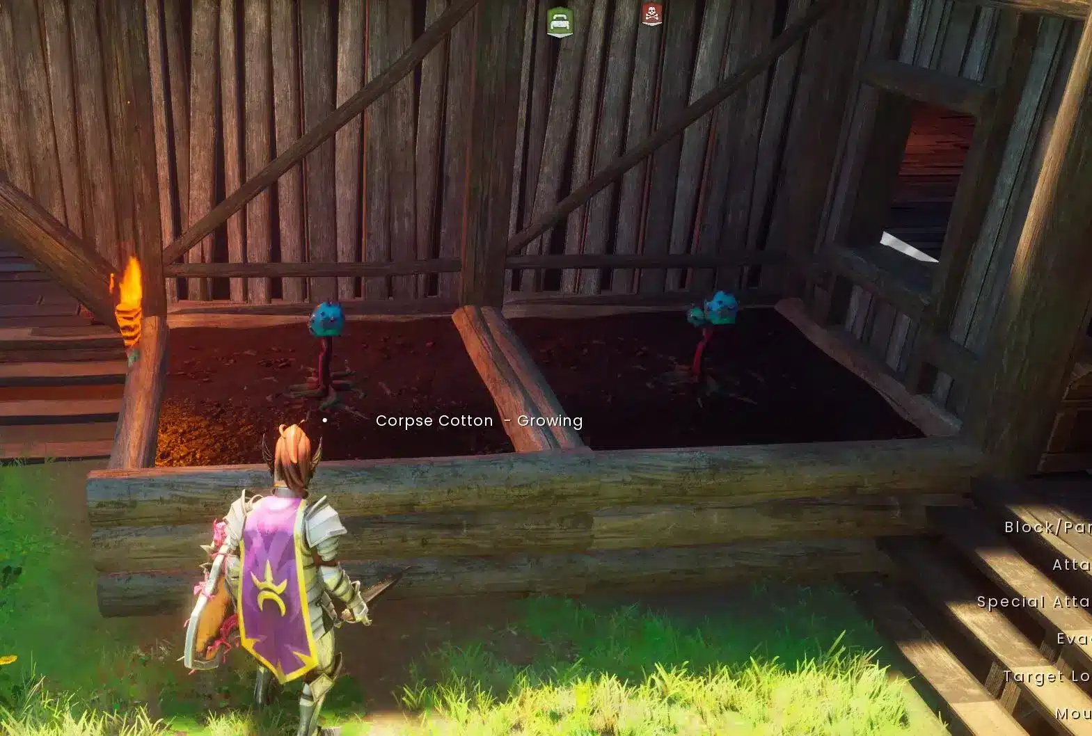 Corpse Cotton RuneScape