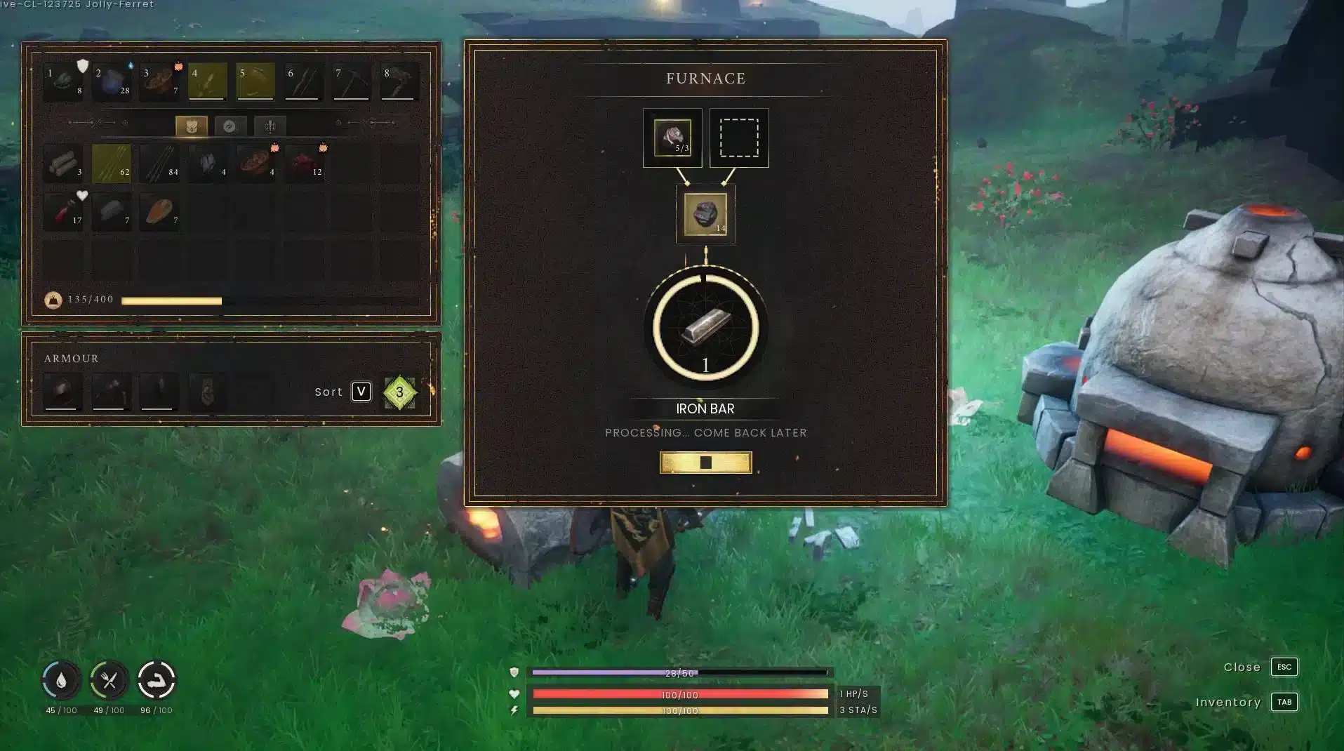 RuneScape Dragonwilds Iron