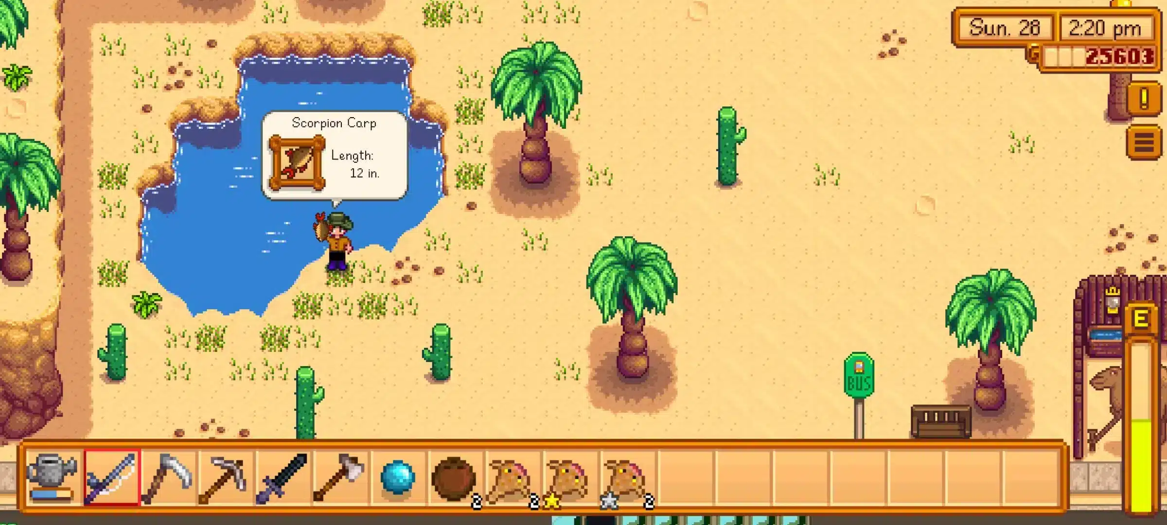 Carp Stardew Valley