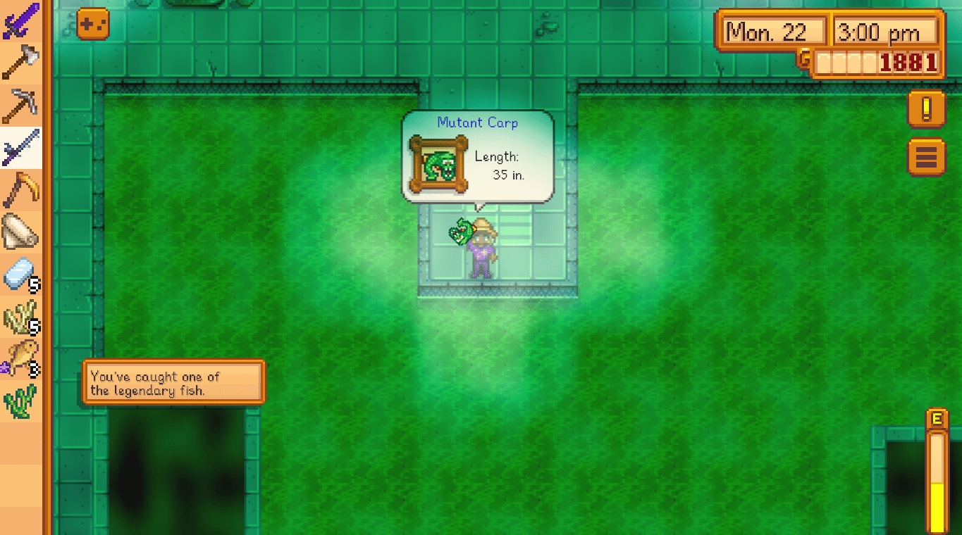 Carp Stardew Valley