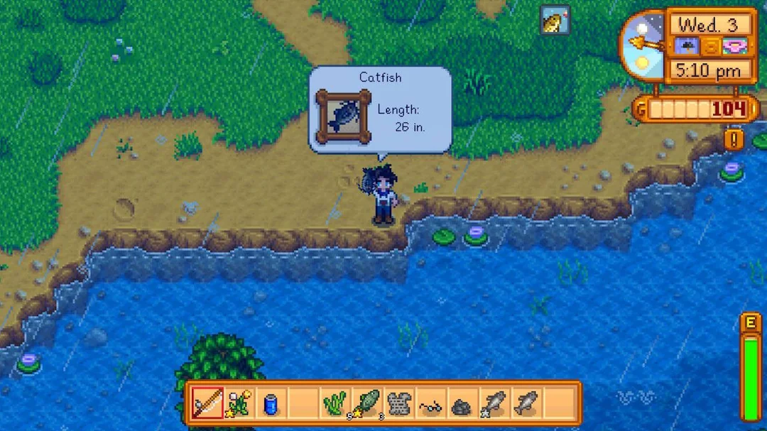 where to catch catfish stardew valley