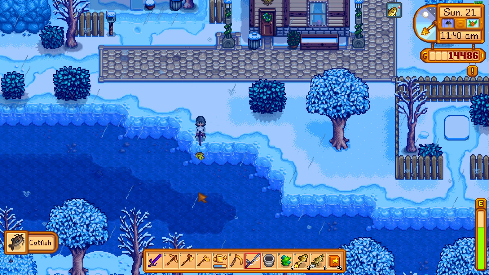 how to get catfish stardew valley