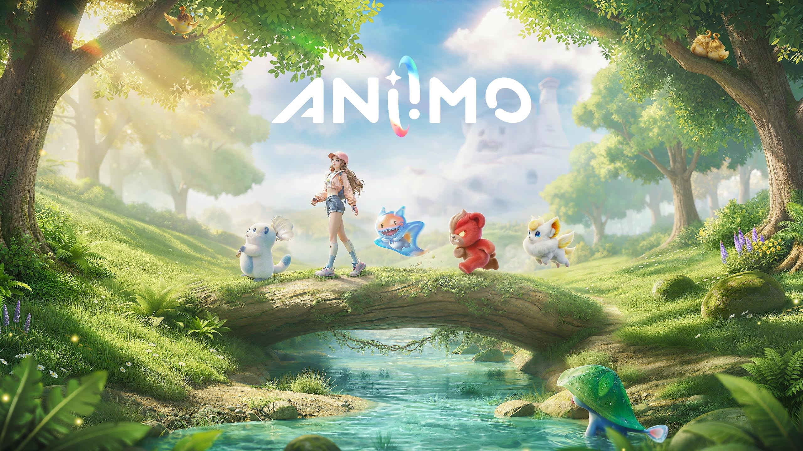 Code Aniimo