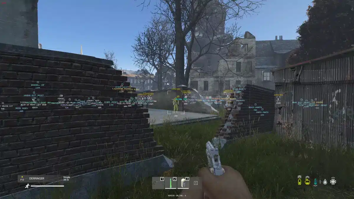 DayZ Cheats