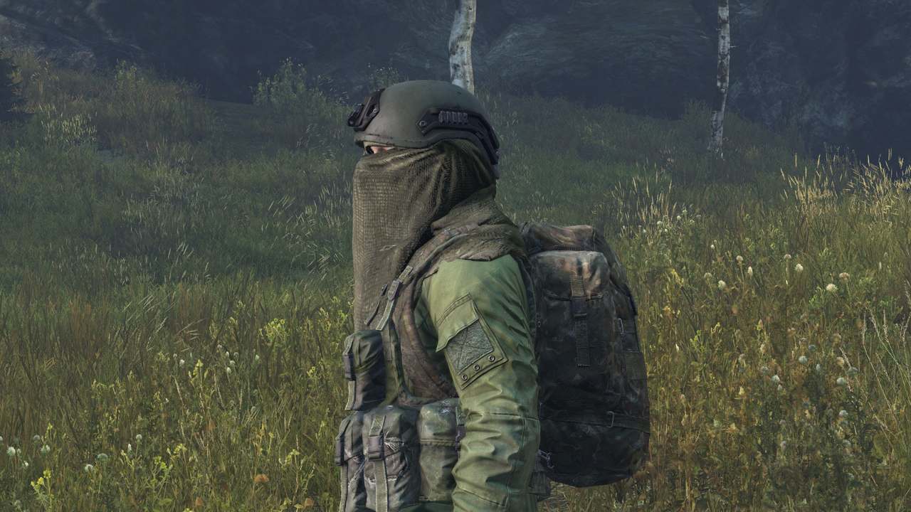 DayZ Mods