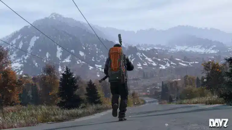 DayZ Sakhal Map