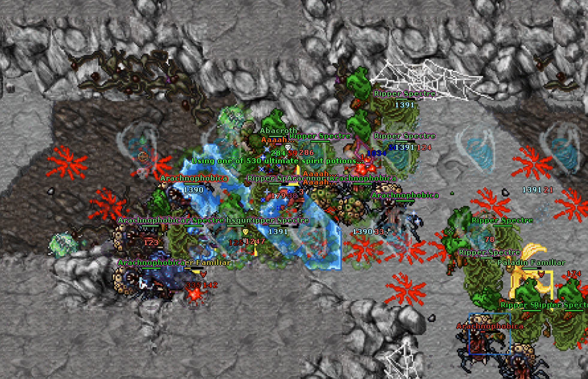 Echo Warden Tibia