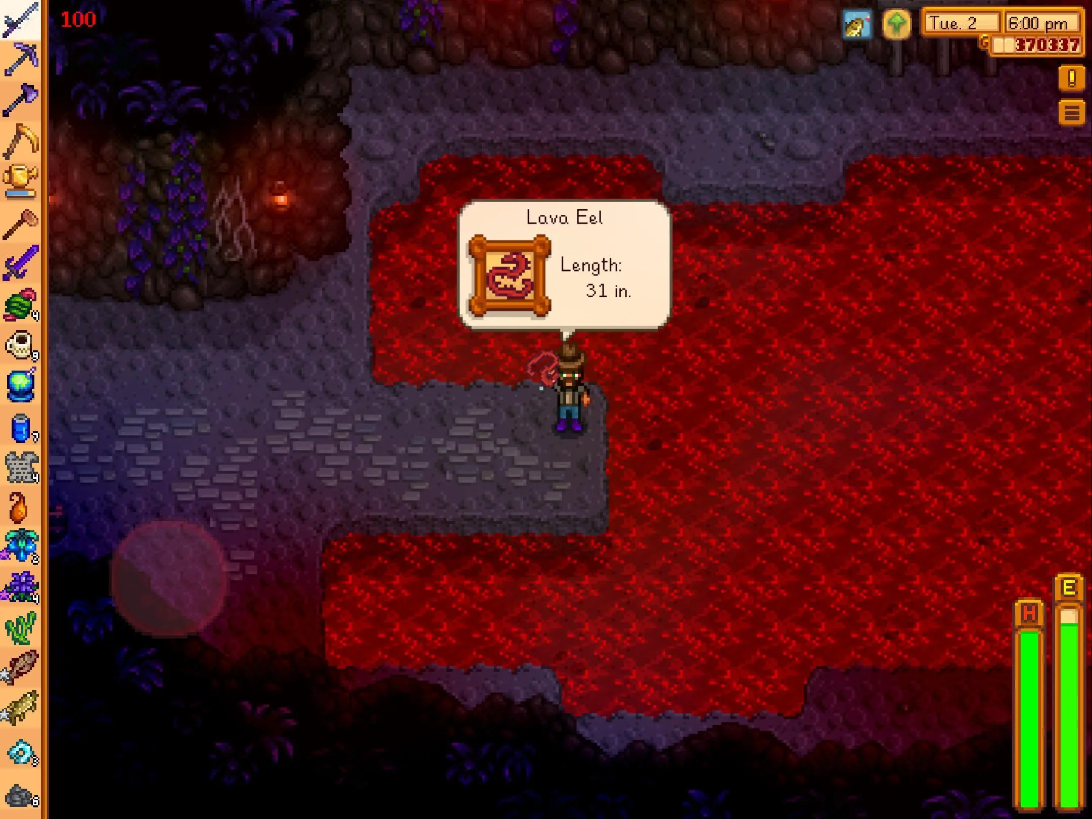 Eel Stardew Valley: Complete Guide to Catching, Locations, Lava Eel, and Recipes