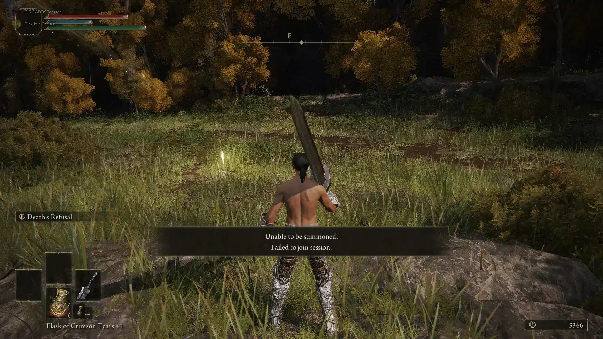 Elden Ring Seamless Co-op