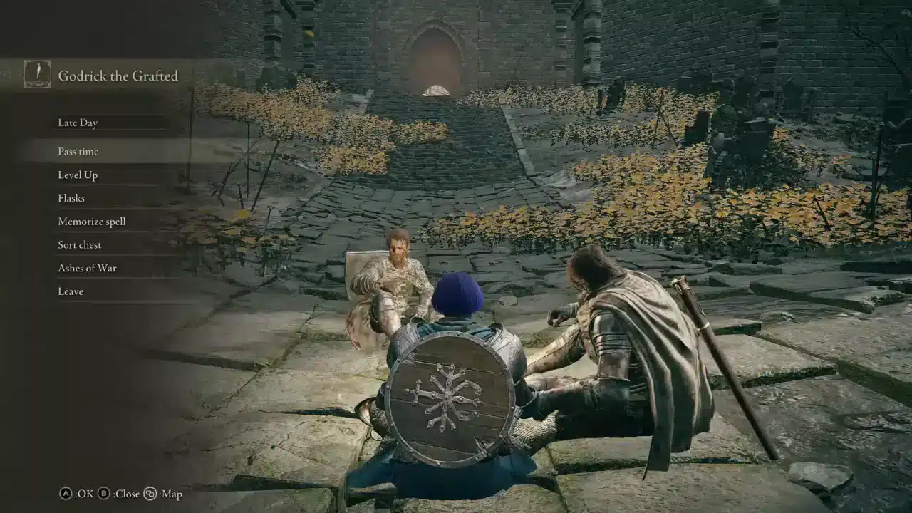 Elden Ring Seamless Co-op