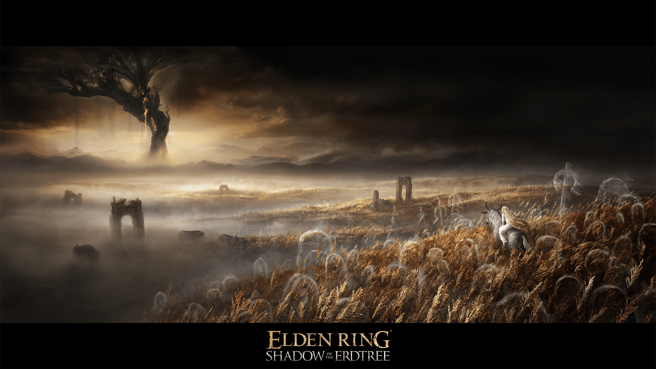Current image: Elden Ring Shadow of the Erdtree