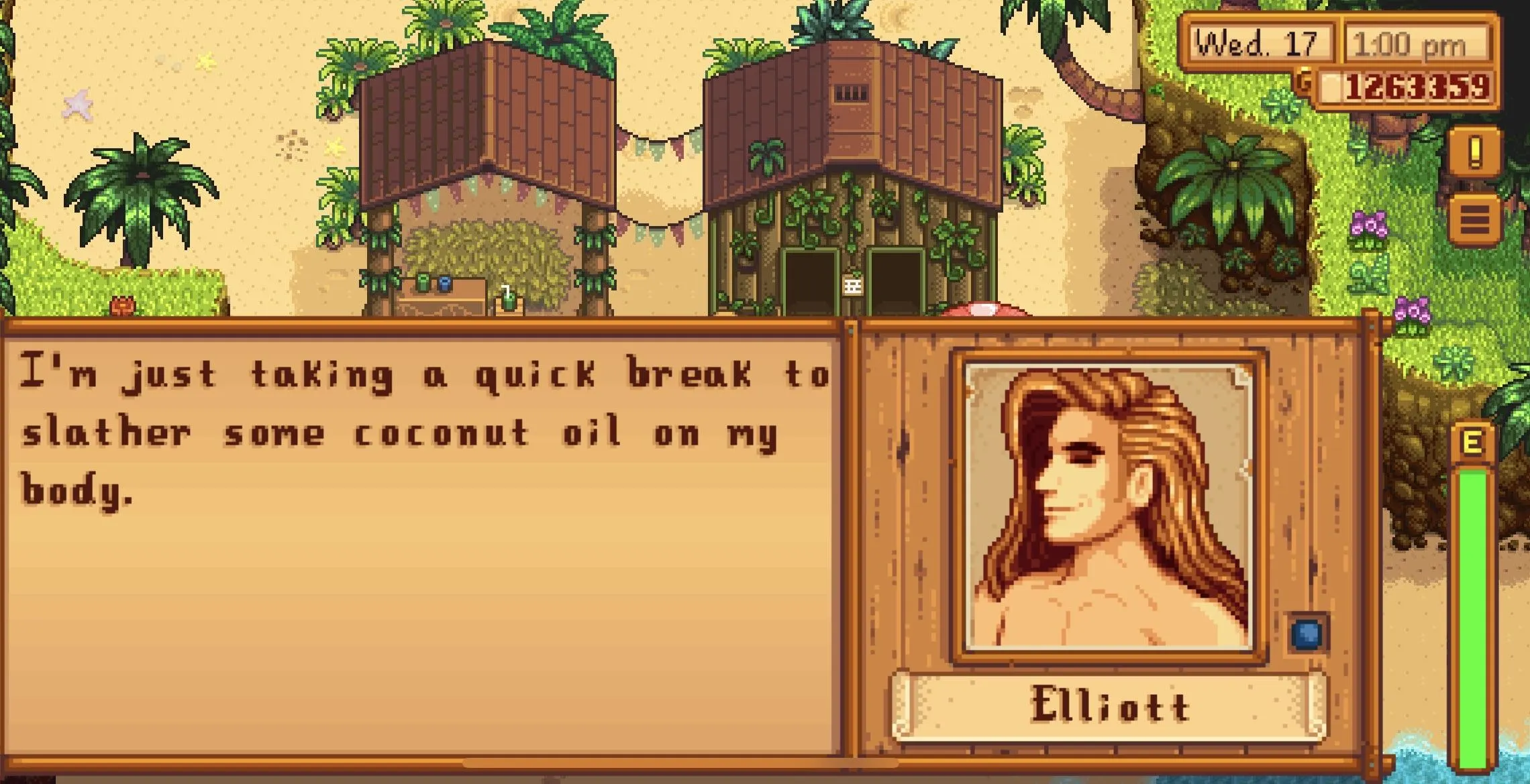 Elliott Stardew Valley