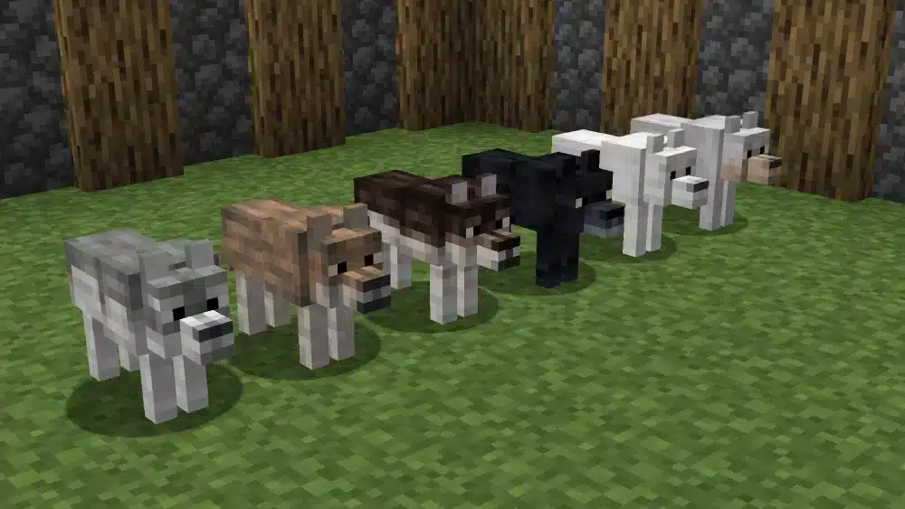 Wolf Breeding and Growing Your Pack minecraft wolf