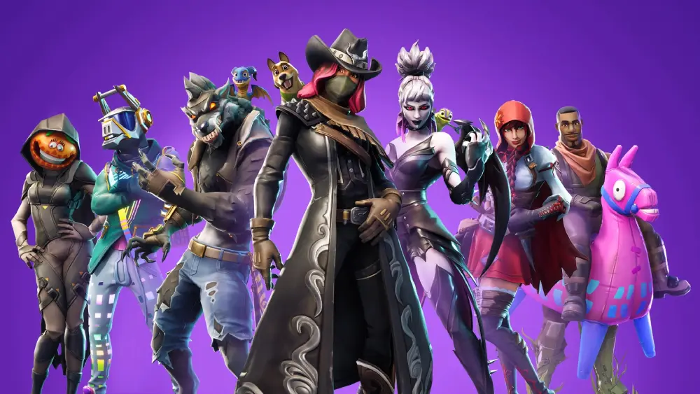 Fortnite 서베이 스킨