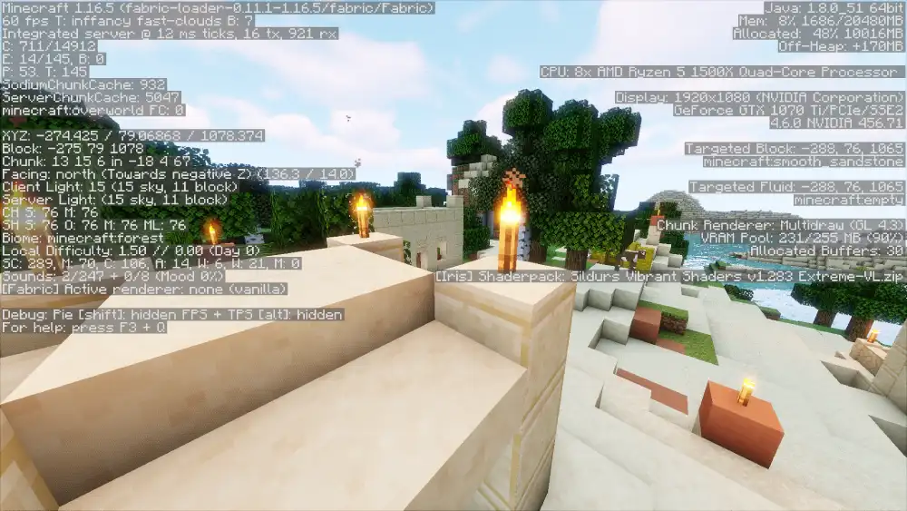 sodium Minecraft
