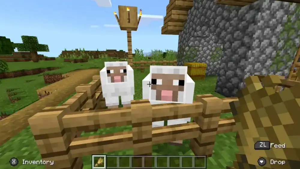  как разводить овец в Minecraft
