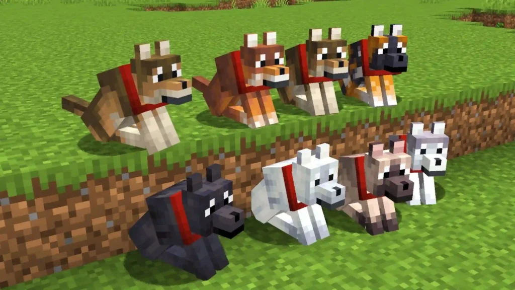 Minecraft cachorro
