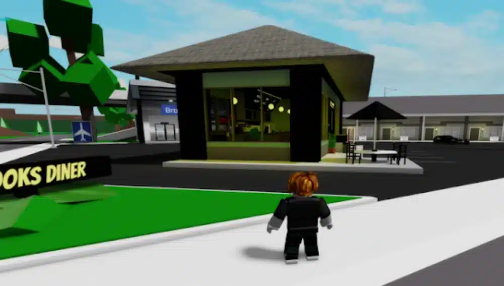 Final thoughts life is roblox