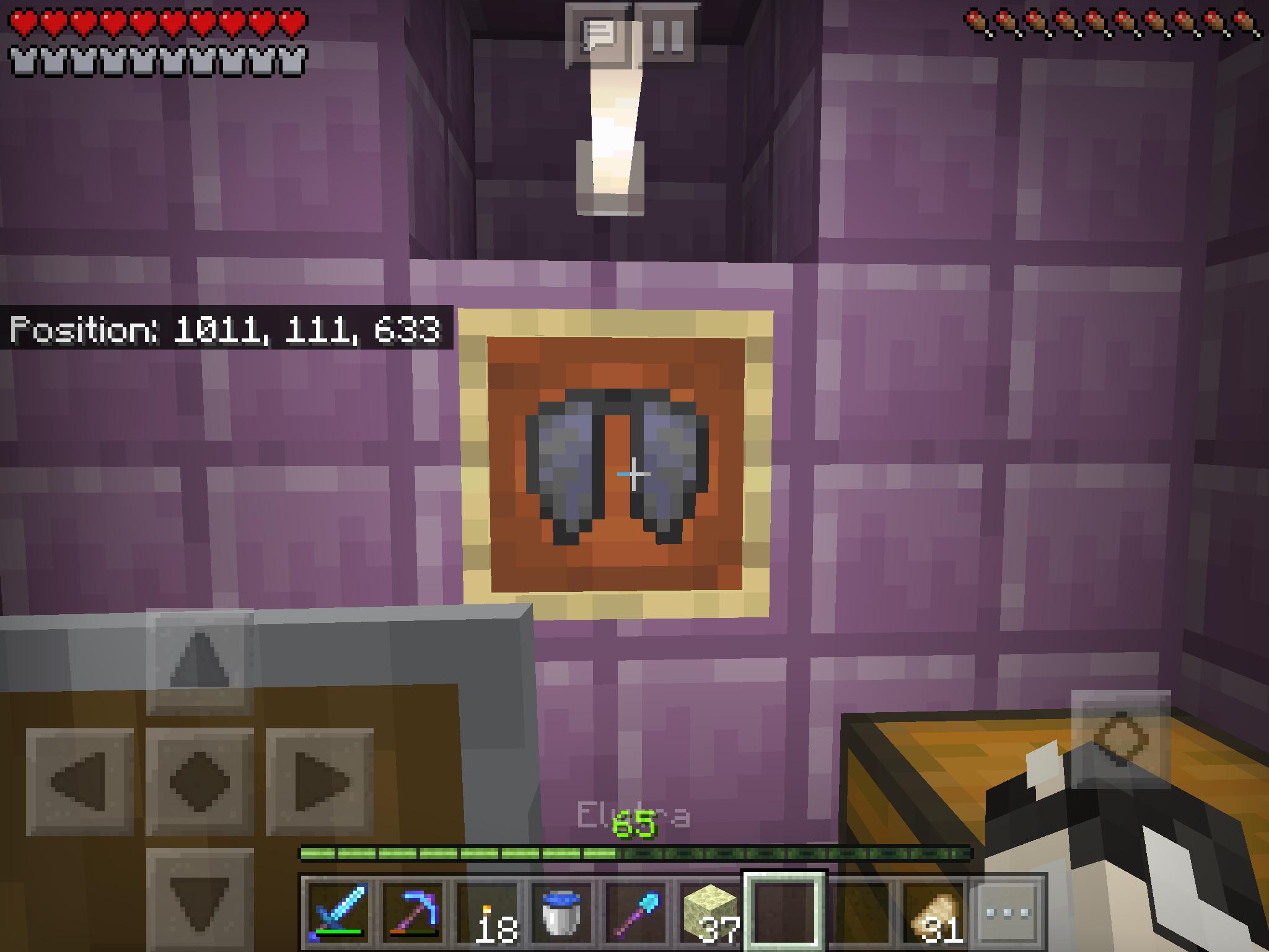 Current image: Minecraft Elytra
