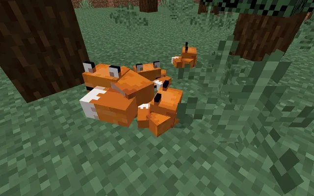  domesticar raposa Minecraft
