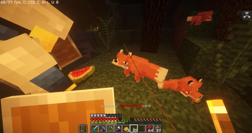  domesticar raposa Minecraft
