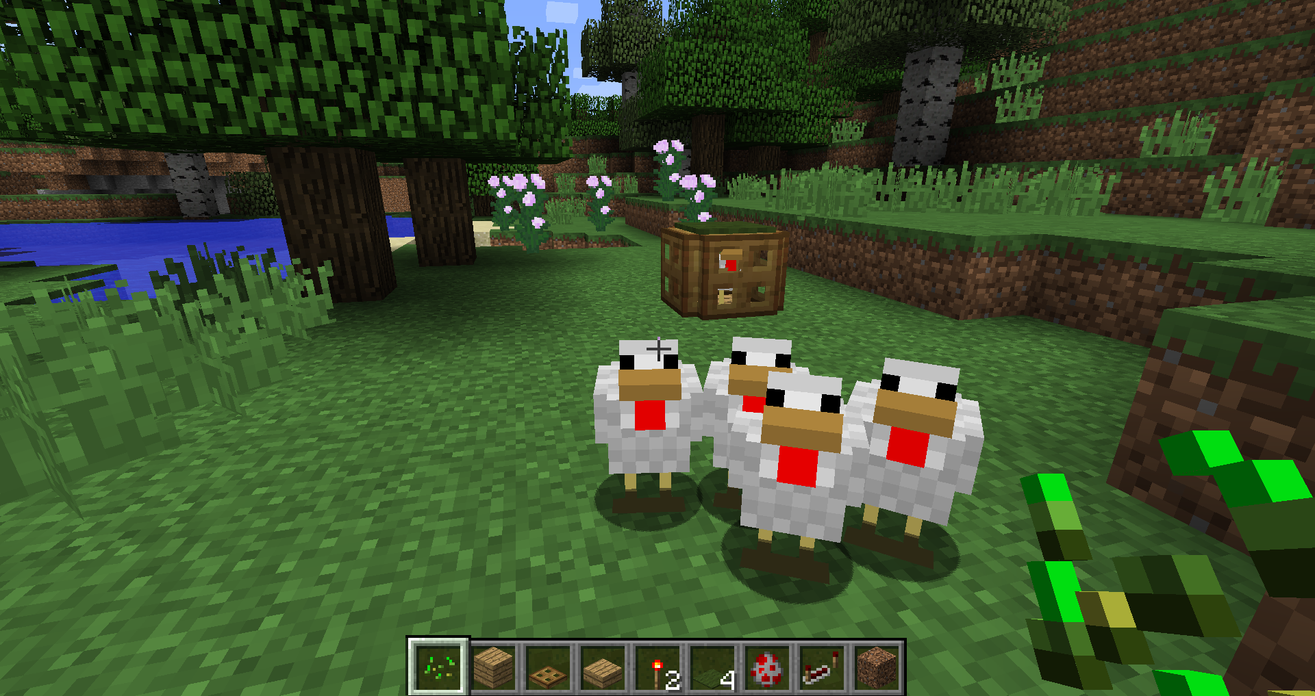 Minecraft Lag
