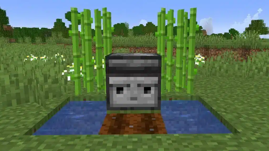 Minecraft Observer
