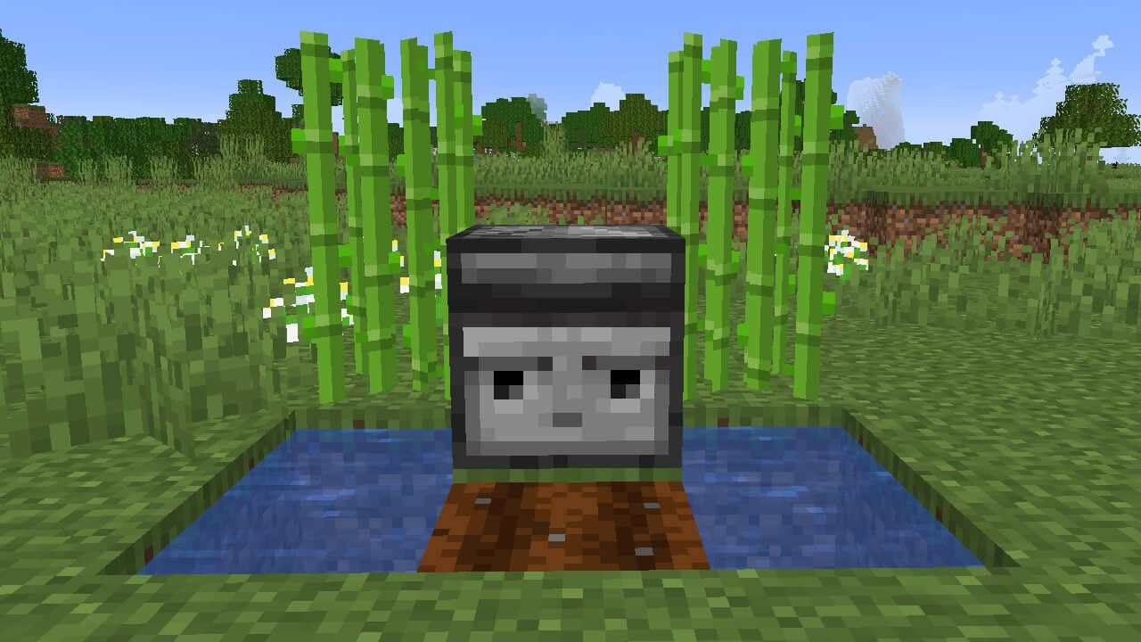 Minecraft Observer