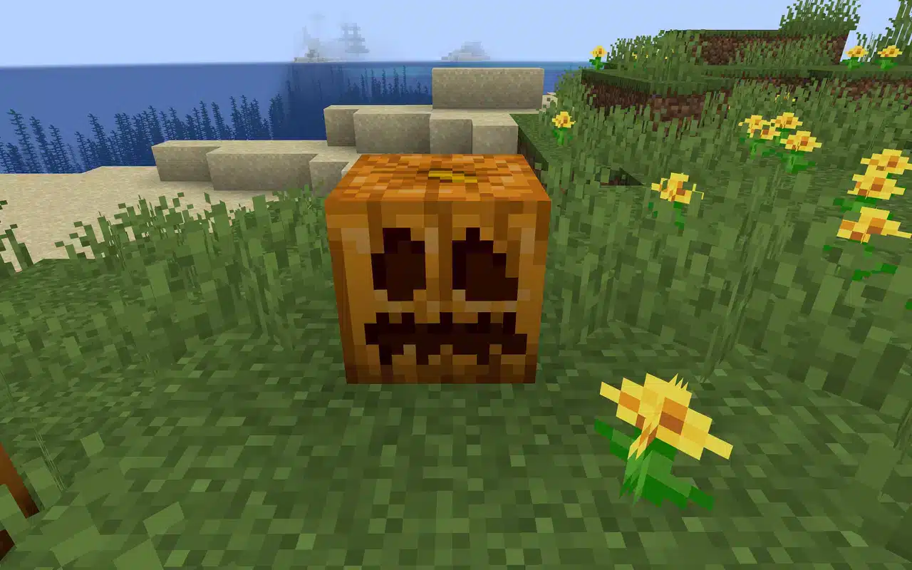 Current image: Minecraft Pumpkin