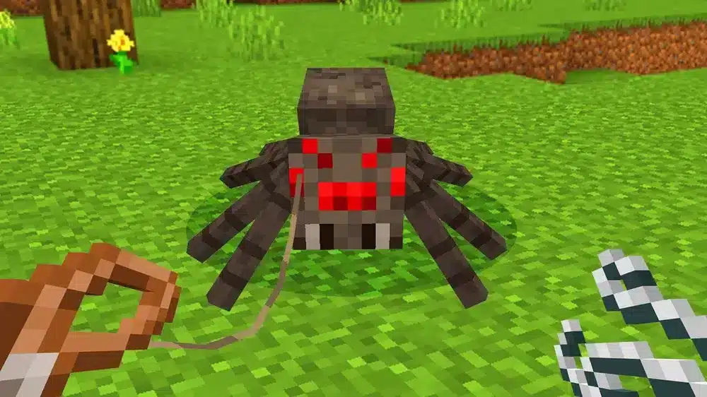  عنكبوت Minecraf