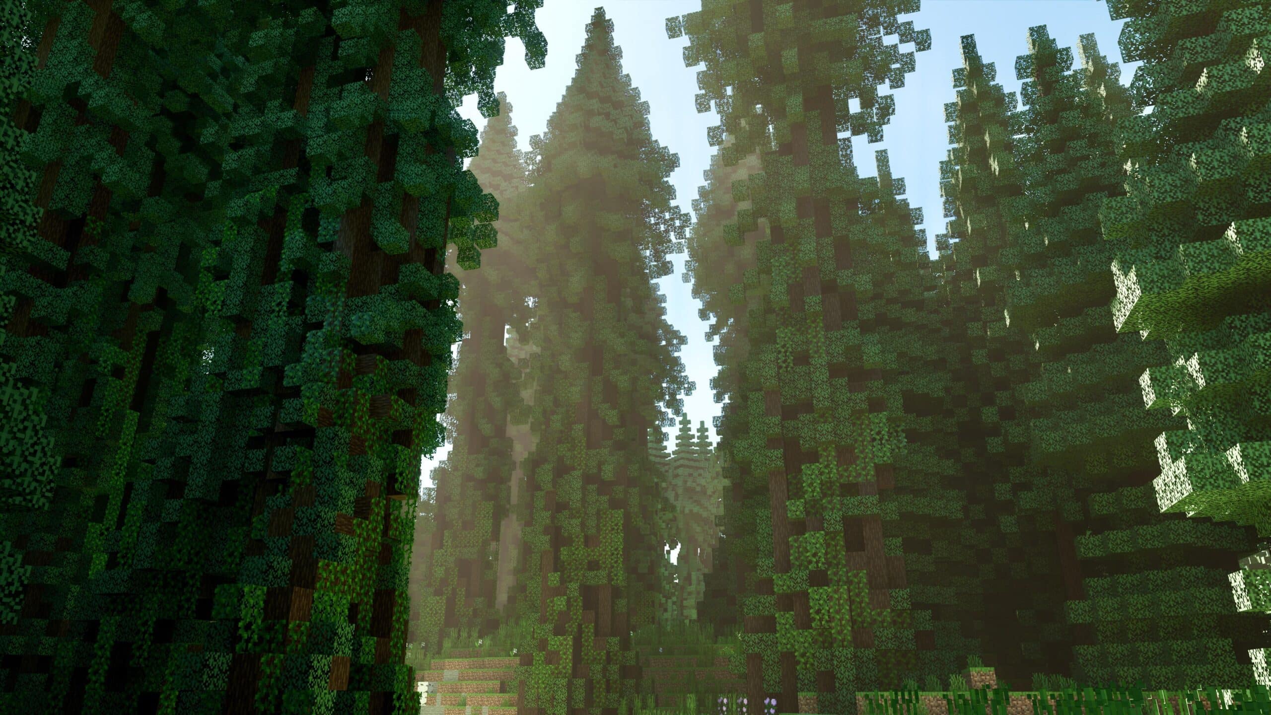 Minecraft Taiga Biome