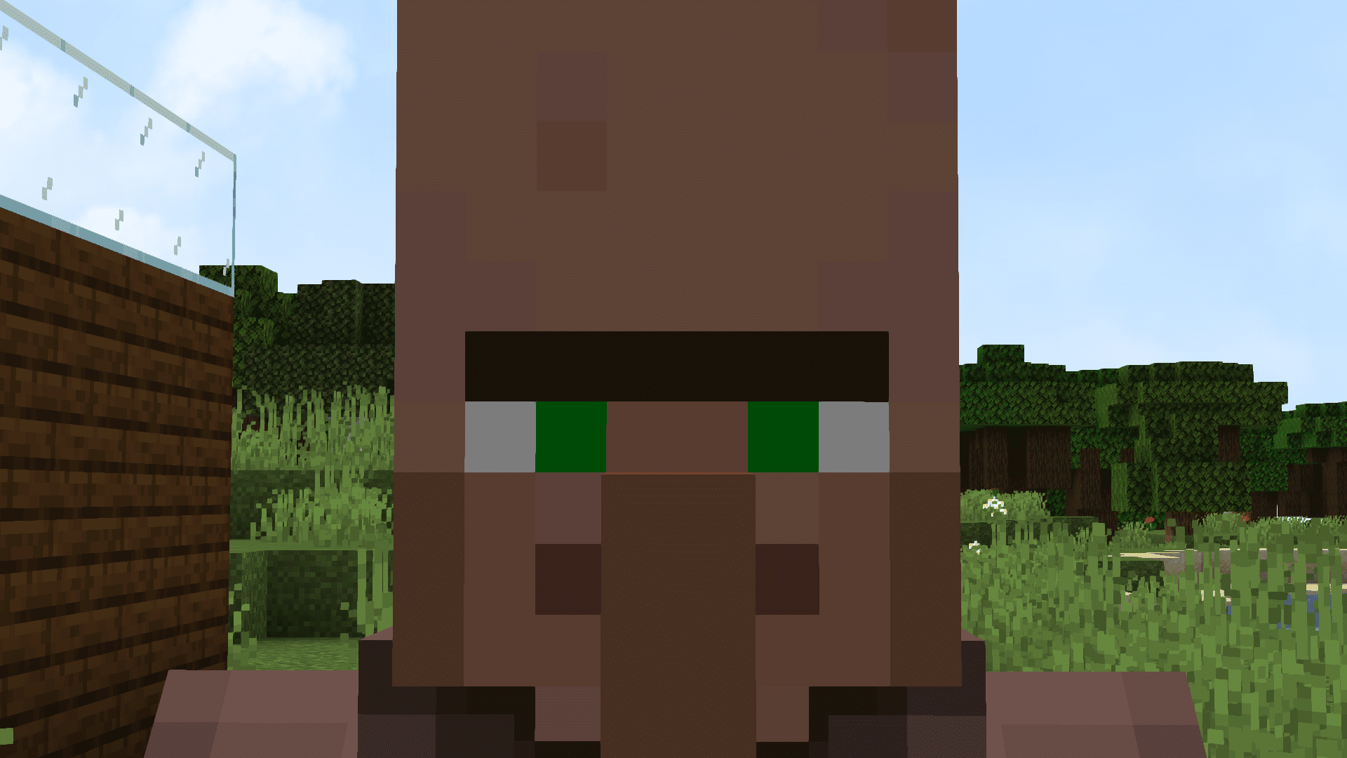 Minecraft Villagers