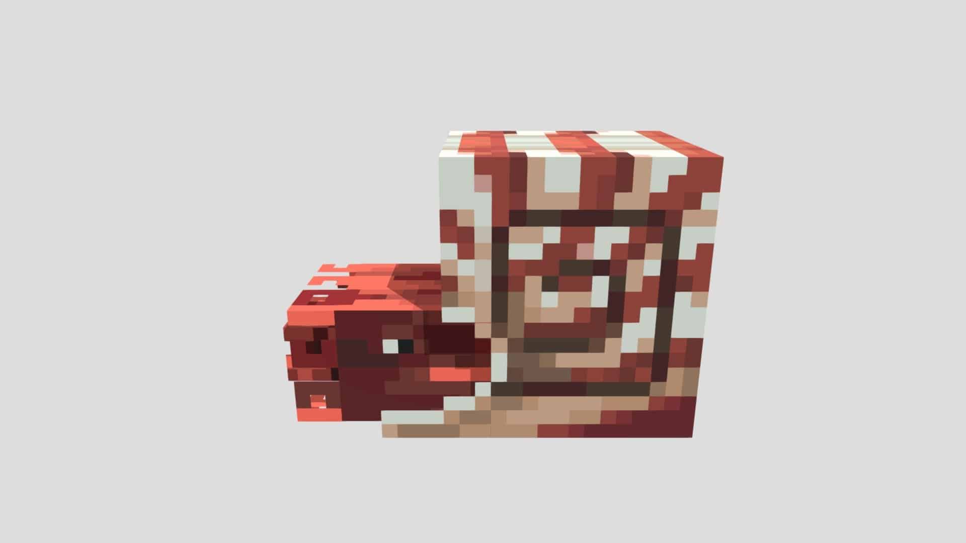nautilus shell minecraft