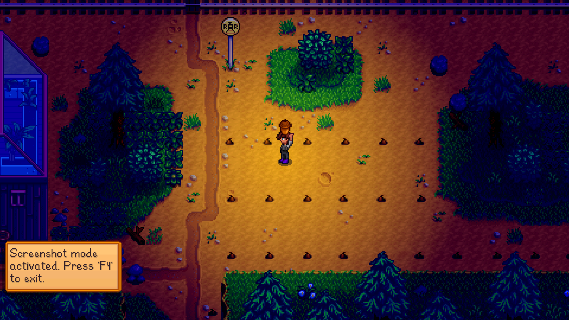 Oak Tree Stardew Valley