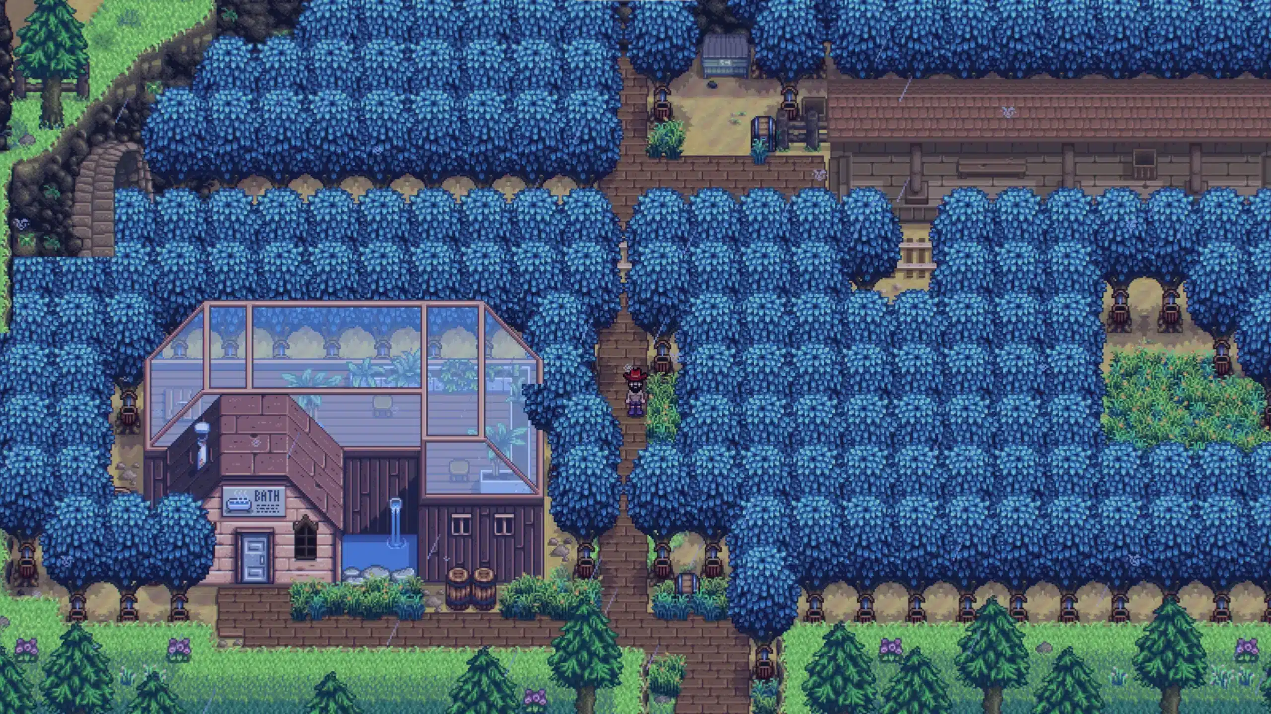 Oak Tree Stardew Valley