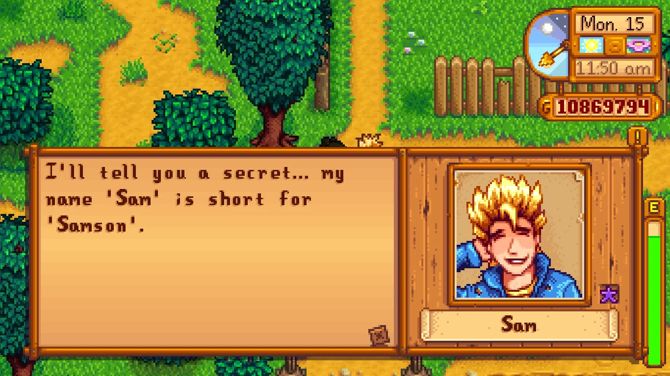 sam stardew valley
