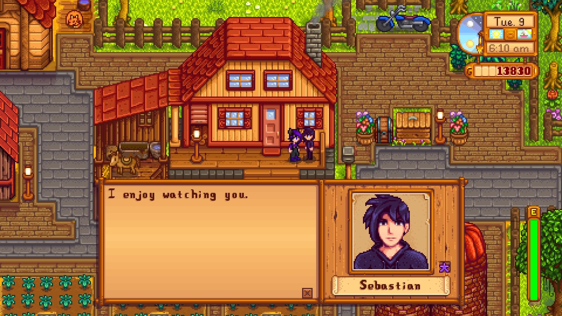 Sebastian Stardew Valley