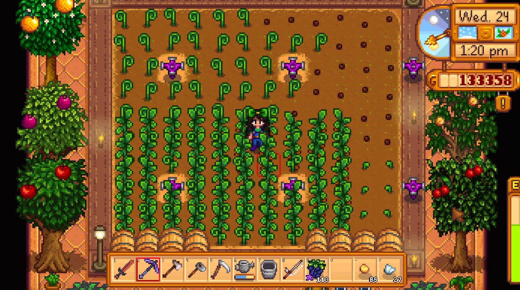 Stardew Valley Greenhouse