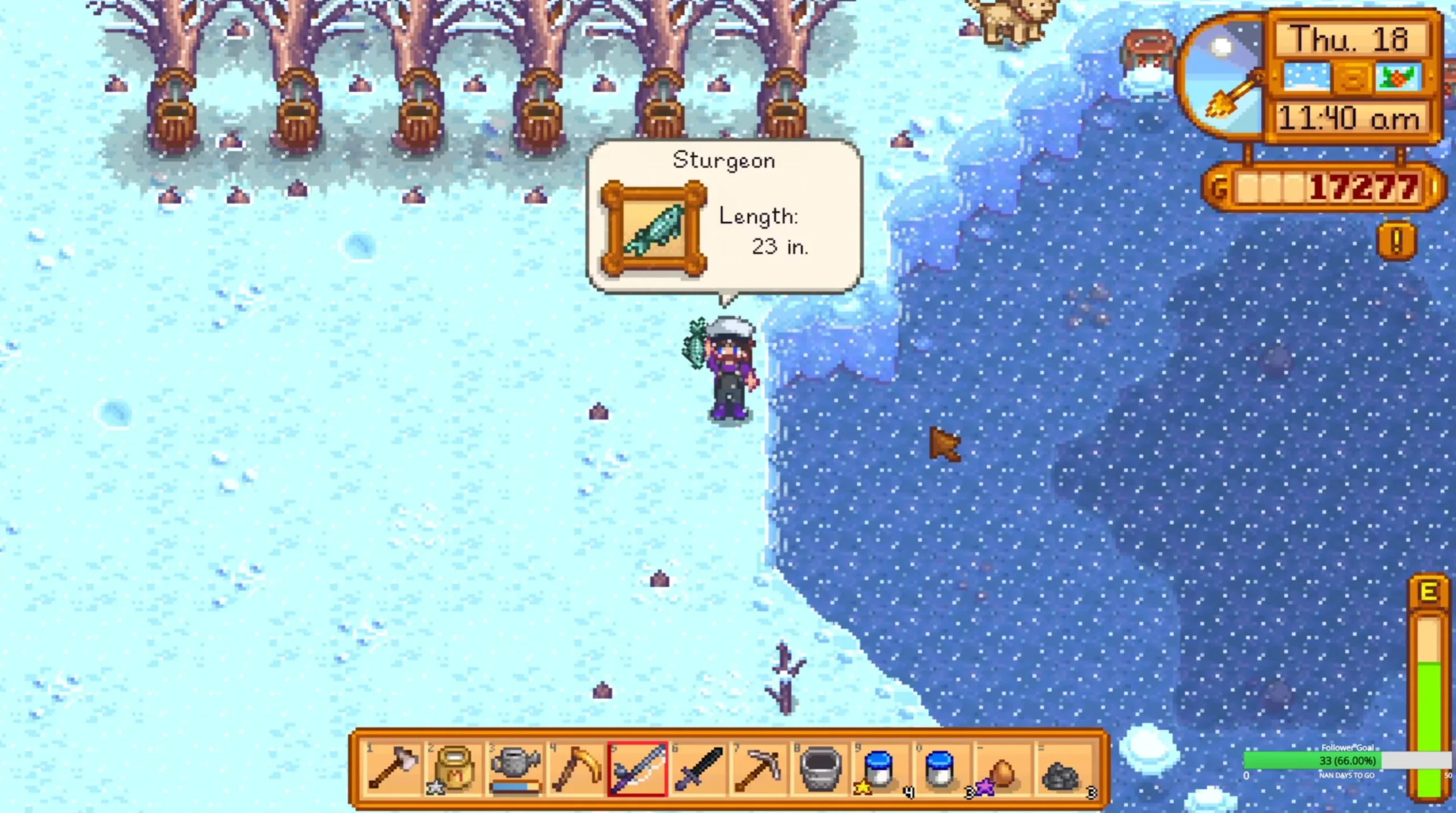 when to catch sturgeon stardew valley