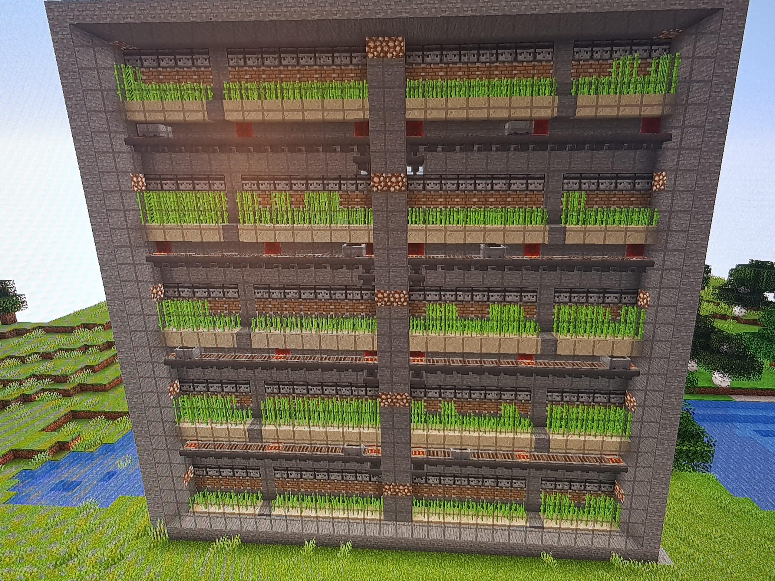 Sugar Cane Farm Minecraft